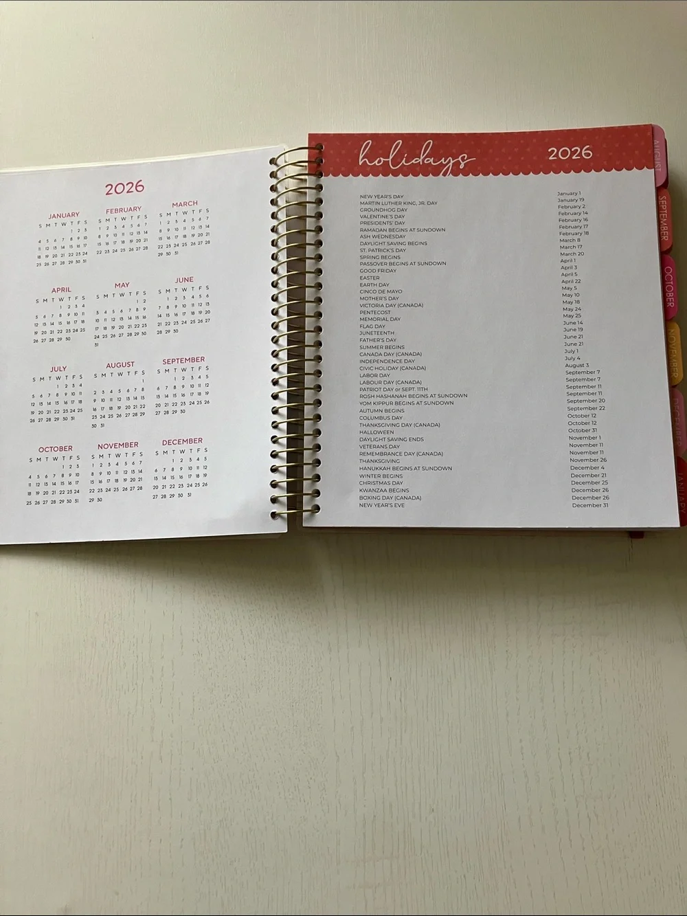 The Creative Expert 17 Month Planner -  August 2026 - December 2027 (NWT)
